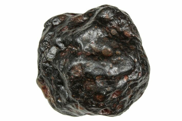 Carbonaceous Chondrite Meteorite ( g) - NWA #334361